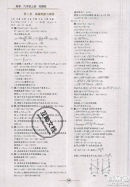 湖南教育出版社2020学法大视野九年级数学上册湘教版参考答案