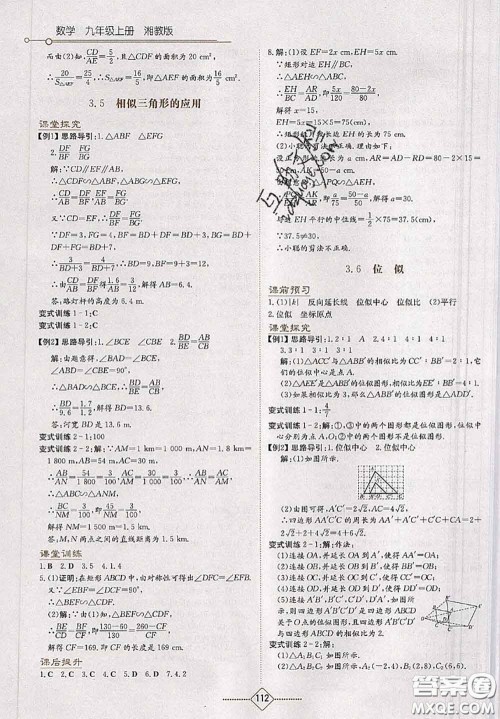 湖南教育出版社2020学法大视野九年级数学上册湘教版参考答案