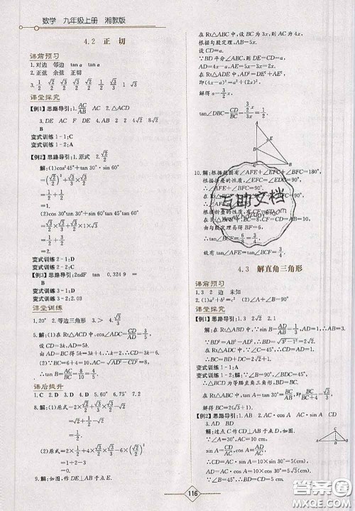 湖南教育出版社2020学法大视野九年级数学上册湘教版参考答案