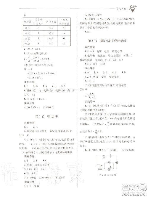 2020年新课程问题解决导学方案九年级物理上册人教版答案