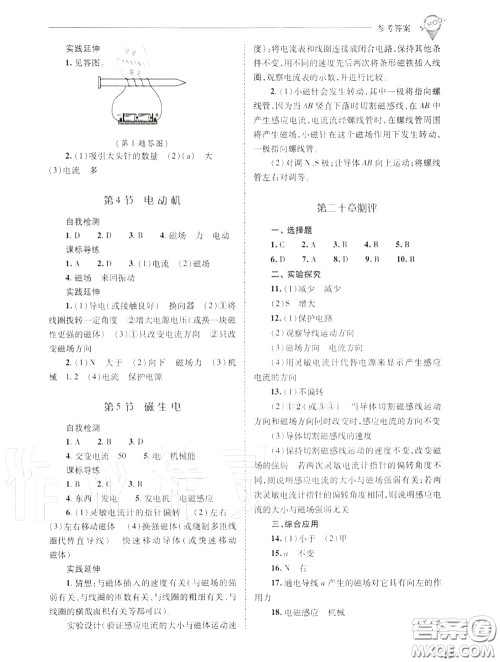 2020年新课程问题解决导学方案九年级物理上册人教版答案