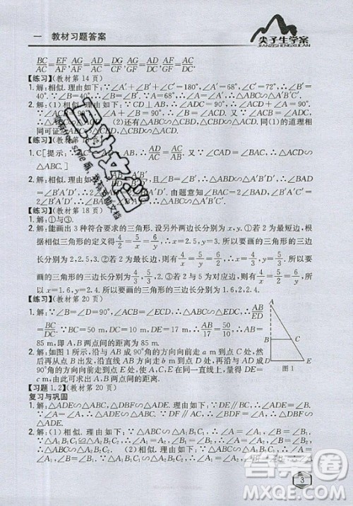 青岛出版社2020年九年级上册数学青岛版教材习题答案