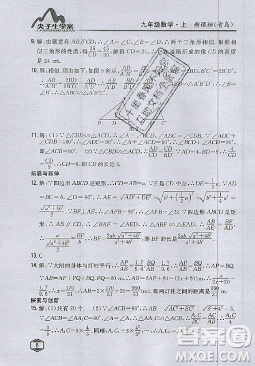 青岛出版社2020年九年级上册数学青岛版教材习题答案