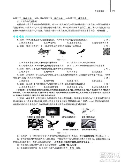 大象出版社2020年基础训练八年级上册生物学人教版答案 大象出版社2020年基础训练八年级上册生物学人教版答案