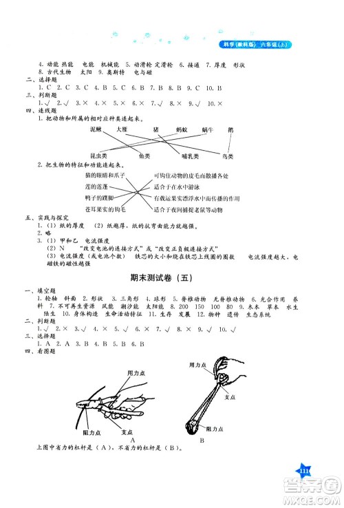 湖南教育出版社2020年学法大视野科学六年级上册教科版答案