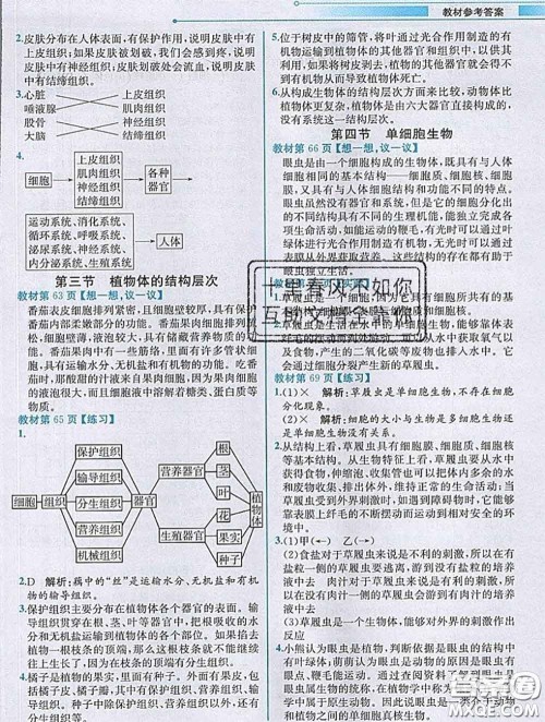 人民教育出版社2020秋课本教材七年级生物上册人教版参考答案