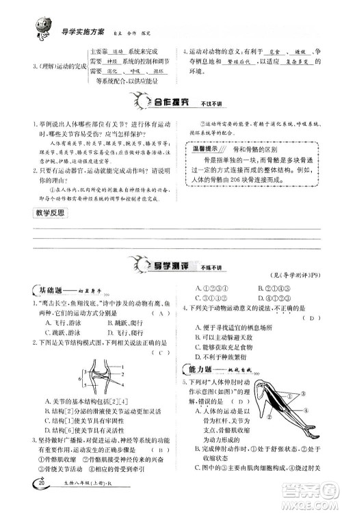 江西高校出版社2020年金太阳导学案生物八年级上册人教版答案