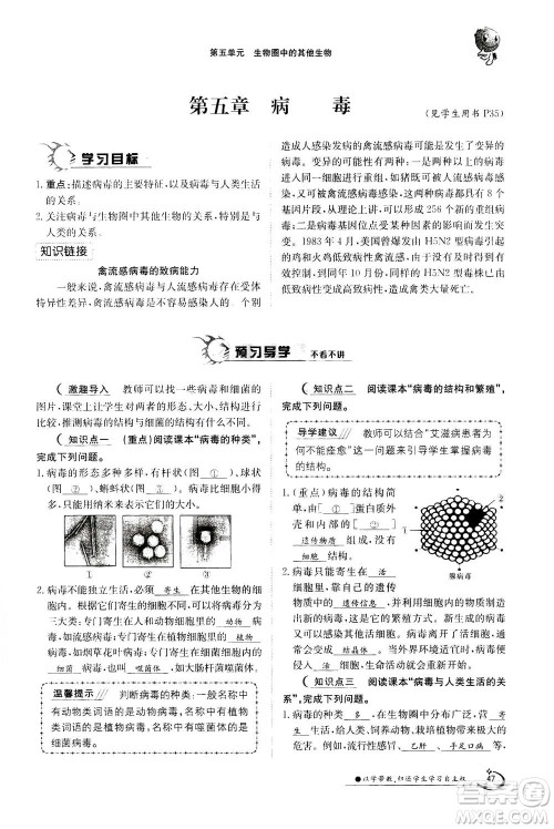 江西高校出版社2020年金太阳导学案生物八年级上册人教版答案