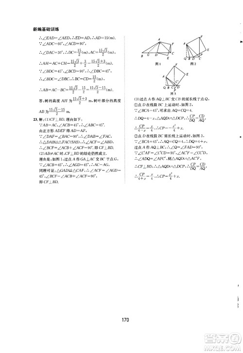 2020年新编基础训练九年级上册数学沪科版答案