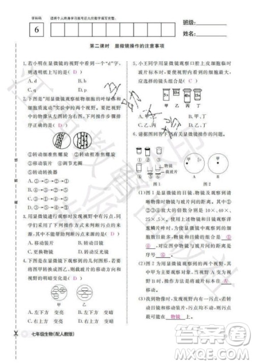 江西教育出版社2020年生物作业本七年级上册人教版答案
