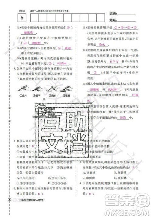 江西教育出版社2020年生物作业本七年级上册人教版答案