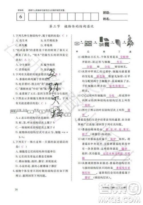 江西教育出版社2020年生物作业本七年级上册人教版答案