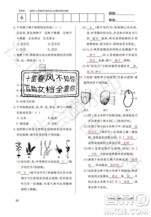 江西教育出版社2020年生物作业本七年级上册人教版答案