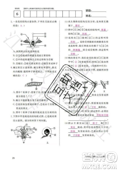 江西教育出版社2020年生物作业本七年级上册人教版答案