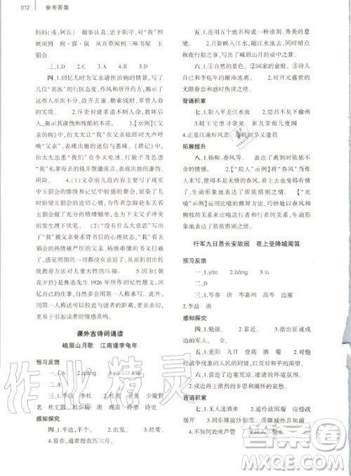 大象出版社2020年基础训练七年级上册语文人教版答案 大象出版社2020年基础训练七年级上册语文人教版答案