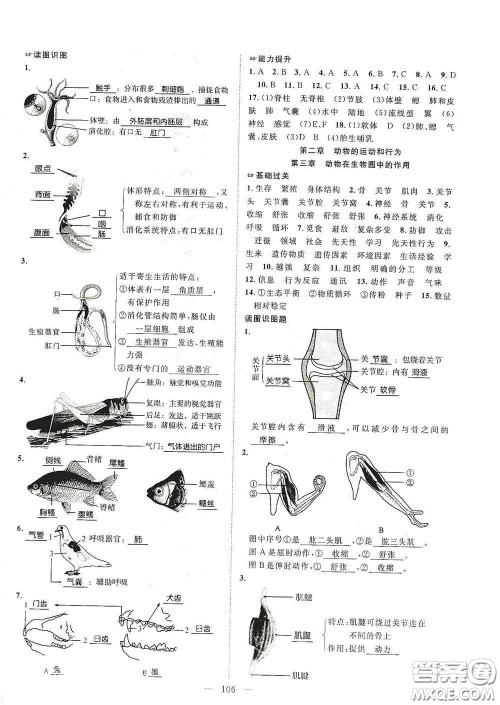 长江少年儿童出版社2020名师学案分层进阶学习法八年级生物上册答案