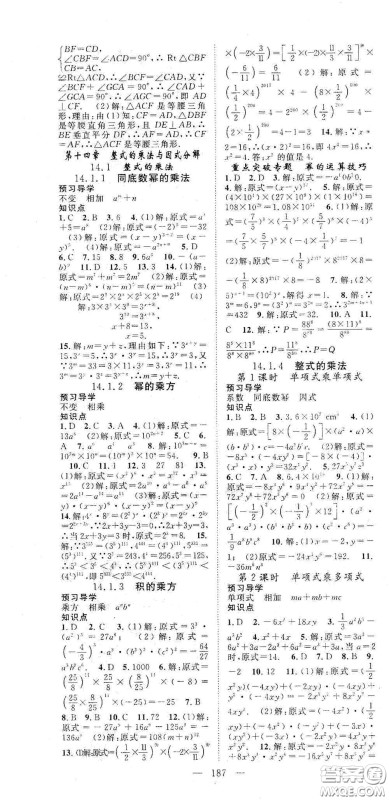 长江少年儿童出版社2020名师学案分层进阶学习法八年级数学上册答案 长江少年儿童出版社2020名师学案分层进阶学习法八年级数学上册答案