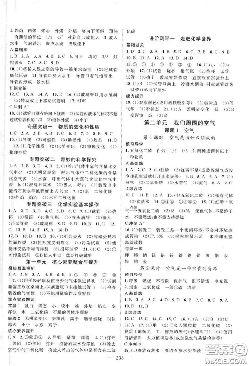 2020名师学案分层进阶学习法化学九年级全一册答案 2020名师学案分层进阶学习法化学九年级全一册答案