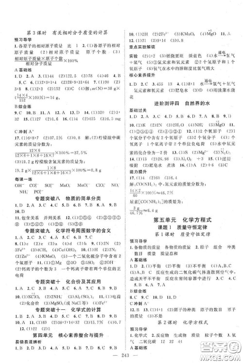 2020名师学案分层进阶学习法化学九年级全一册答案