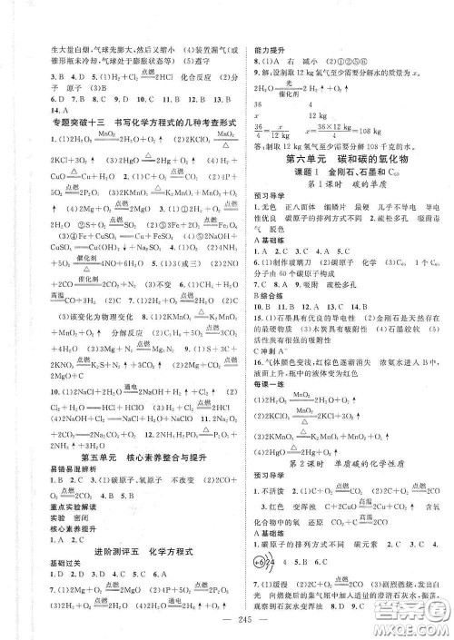 2020名师学案分层进阶学习法化学九年级全一册答案 2020名师学案分层进阶学习法化学九年级全一册答案