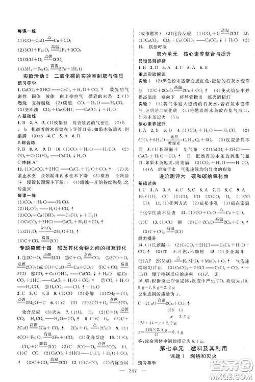 2020名师学案分层进阶学习法化学九年级全一册答案 2020名师学案分层进阶学习法化学九年级全一册答案