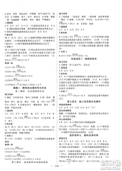 2020名师学案分层进阶学习法化学九年级全一册答案 2020名师学案分层进阶学习法化学九年级全一册答案