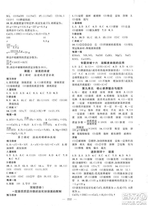 2020名师学案分层进阶学习法化学九年级全一册答案 2020名师学案分层进阶学习法化学九年级全一册答案