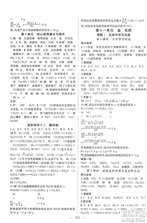 2020名师学案分层进阶学习法化学九年级全一册答案