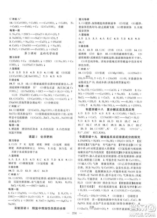 2020名师学案分层进阶学习法化学九年级全一册答案 2020名师学案分层进阶学习法化学九年级全一册答案