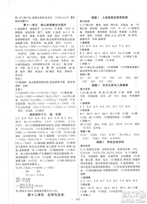 2020名师学案分层进阶学习法化学九年级全一册答案 2020名师学案分层进阶学习法化学九年级全一册答案