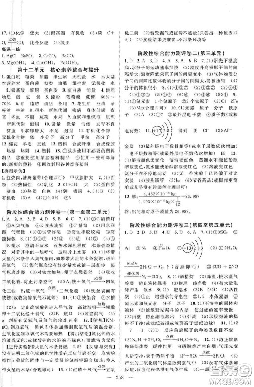 2020名师学案分层进阶学习法化学九年级全一册答案