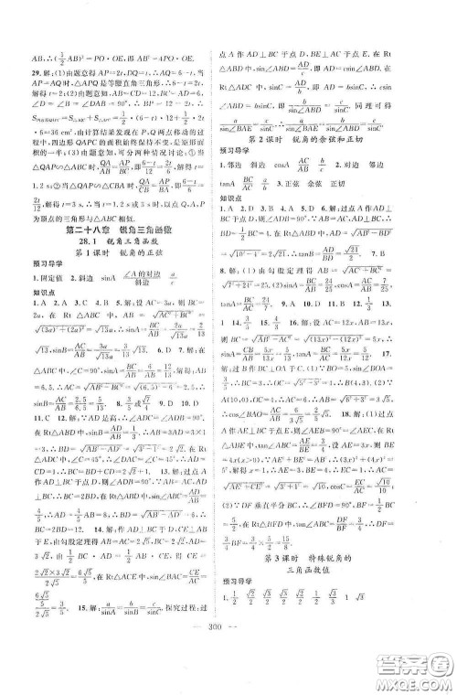 长江少年儿童出版社2020名师学案分层进阶学习法数学九年级全一册答案