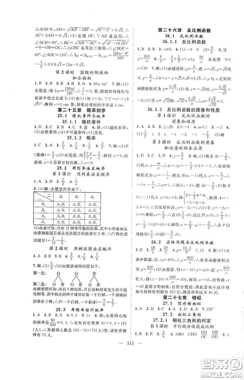 长江少年儿童出版社2020名师学案分层进阶学习法数学九年级全一册答案