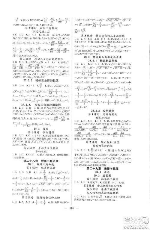 长江少年儿童出版社2020名师学案分层进阶学习法数学九年级全一册答案