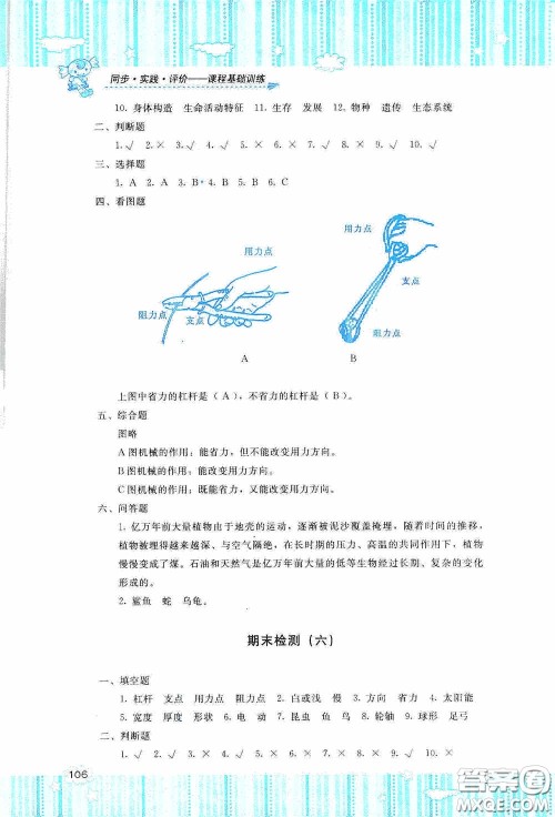 湖南少年儿童出版社2020课程基础训练六年级科学上册教科版答案