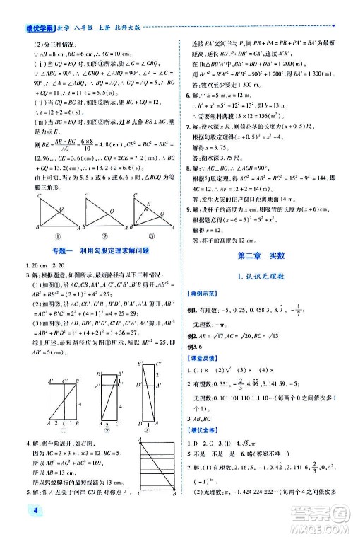 陕西师范大学出版总社2020年绩优学案数学八年级上册北师大版答案