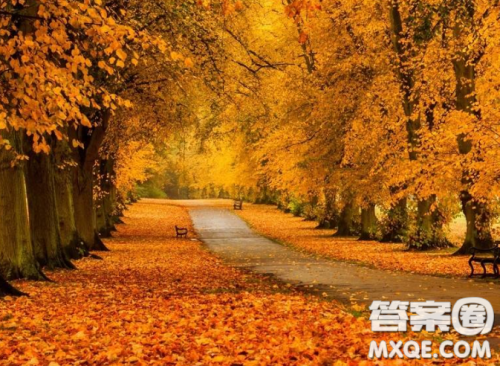 小学生作文怎么描写景色 小学生作文怎么写景 小学生作文怎么描写景色 小学生作文怎么写景