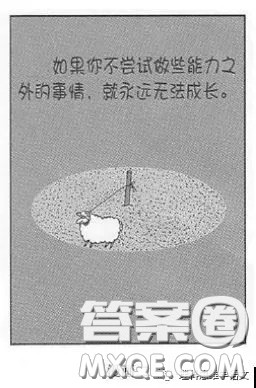 如果你不尝试做些能力之外的事情就永远无法成长作文800字 如果你不尝试做些能力之外的事情就永远无法成长作文800字