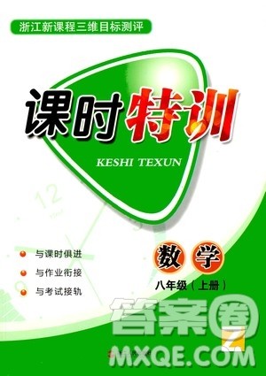 浙江人民出版社2020年课时特训数学八年级上册Z浙教版答案