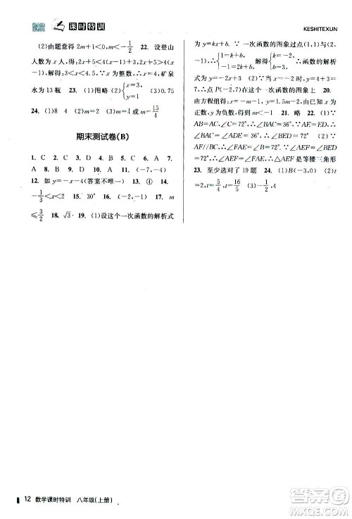 浙江人民出版社2020年课时特训数学八年级上册Z浙教版答案