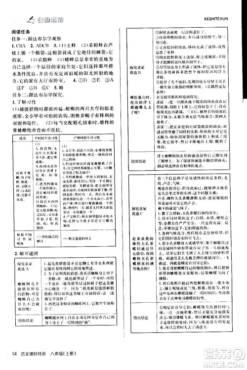 浙江人民出版社2020年课时特训语文八年级上册R人教版答案