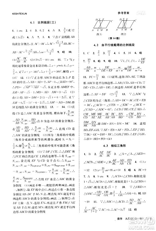浙江人民出版社2020年课时特训数学九年级全一册Z浙教版答案