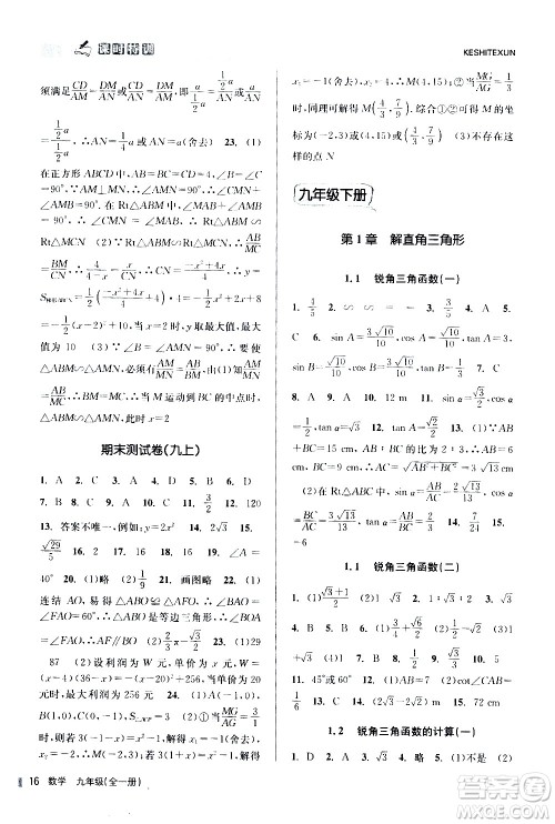 浙江人民出版社2020年课时特训数学九年级全一册Z浙教版答案