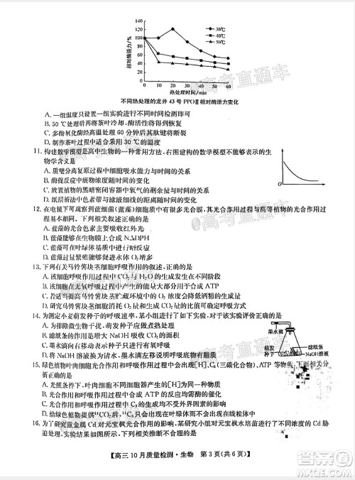 九师联盟2020-2021学年高三10月质量检测生物试题及答案 九师联盟2020-2021学年高三10月质量检测生物试题及答案