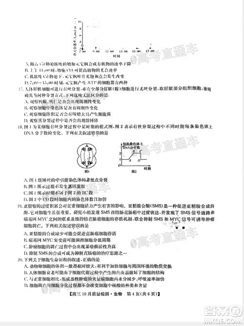 九师联盟2020-2021学年高三10月质量检测生物试题及答案 九师联盟2020-2021学年高三10月质量检测生物试题及答案