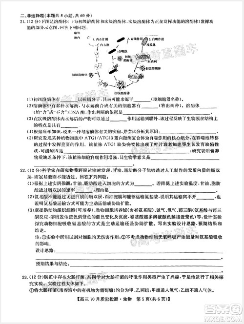 九师联盟2020-2021学年高三10月质量检测生物试题及答案 九师联盟2020-2021学年高三10月质量检测生物试题及答案
