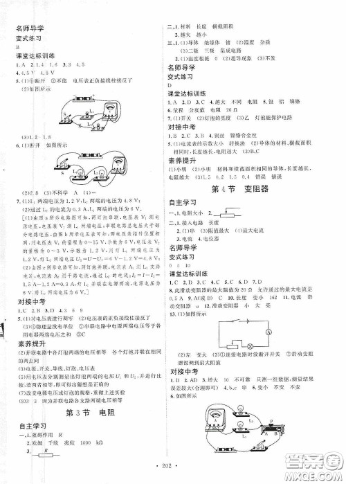 陕西人民出版社2020实验教材新学案九年级物理全一册人教版答案