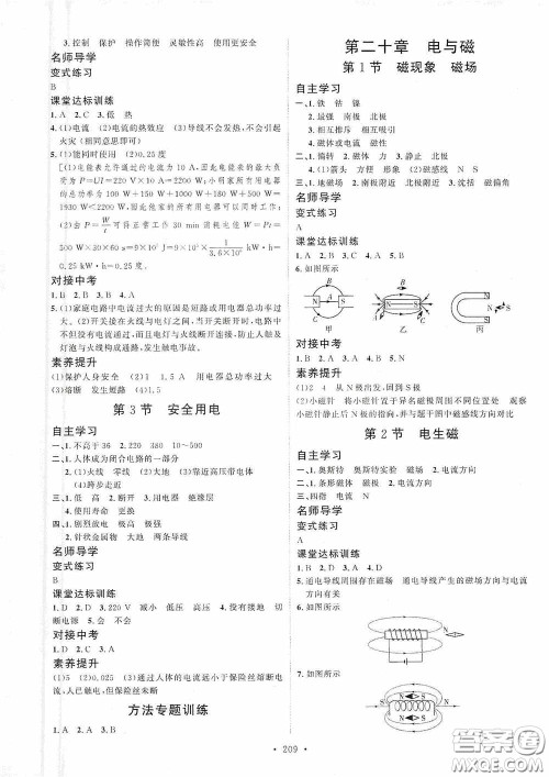 陕西人民出版社2020实验教材新学案九年级物理全一册人教版答案