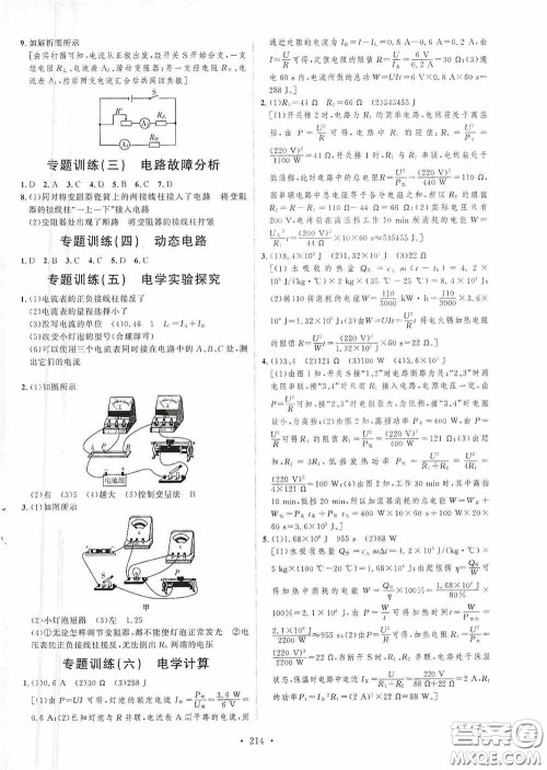 陕西人民出版社2020实验教材新学案九年级物理全一册人教版答案