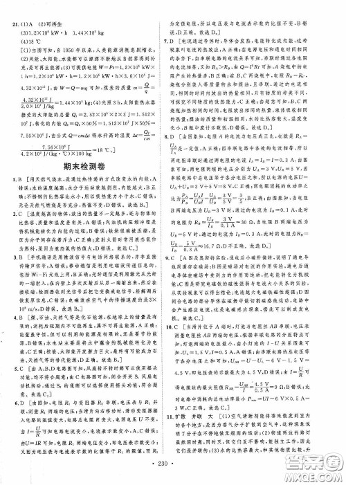 陕西人民出版社2020实验教材新学案九年级物理全一册人教版答案